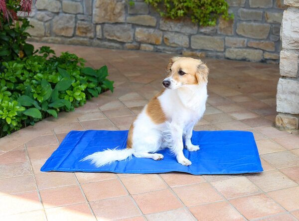 Tappetino Refrigerante Impermeabile 40x50 cm per Cani e Gatti Blu