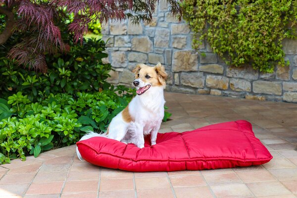 Cuscino Imbottito per Cani e Gatti 60x100 cm in Microfibra Chunky Bordeaux