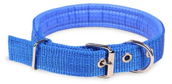 Collare per Cani Phoenix con Fibbia regolabile Razza Piccola in Nylon Regolabile Celeste
