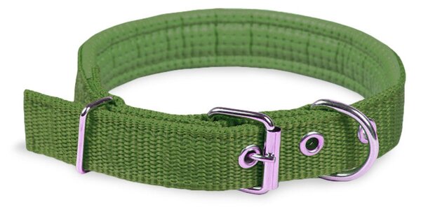 Collare per Cani Phoenix con Fibbia regolabile Razza Piccola in Nylon Regolabile Verde