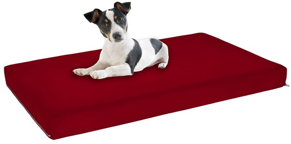 Materassino Imbottito 60x50cm per Cani e Gatti Bordeaux