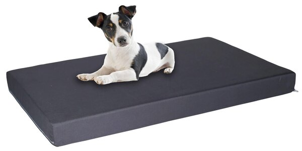 Materassino Imbottito 60x50cm per Cani e Gatti Grigio Scuro