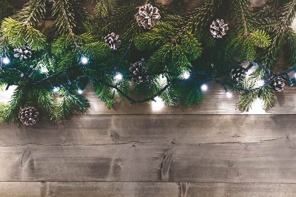 Luci di Natale 100 LED 4m Bianco da Interno Soriani