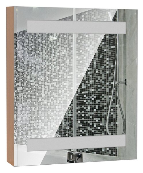 Specchio Armadietto da Bagno Pensile Illuminato con Luci LED 50x60x15 cm
