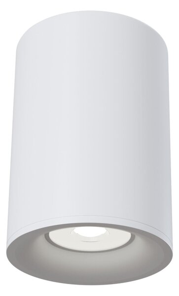 Plafoniera Ceiling & Wall in Alluminio Alfa Bianco