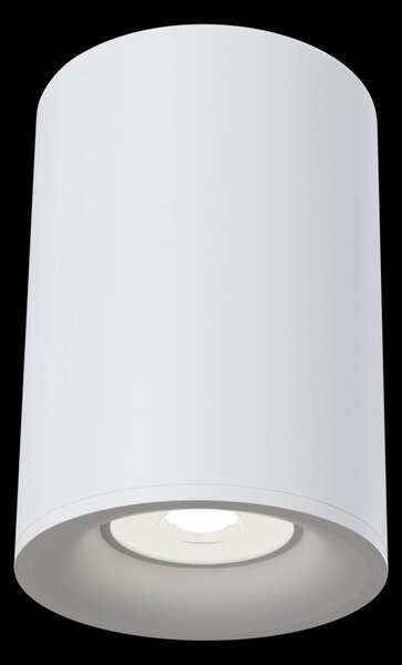 Plafoniera Ceiling & Wall in Alluminio Alfa Bianco
