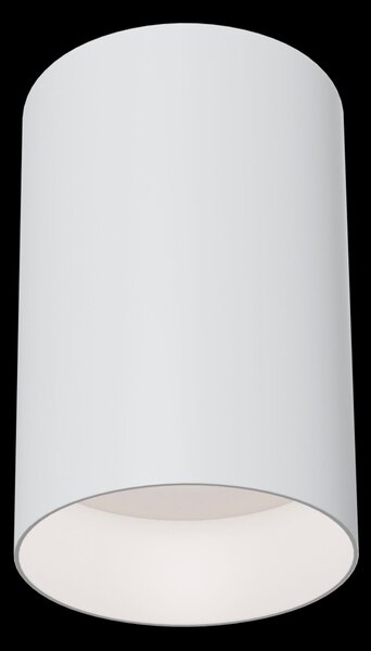 Plafoniera Ceiling & Wall in Alluminio Alfa Bianco