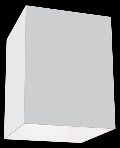 Plafoniera Ceiling & Wall in Alluminio Alfa Bianco