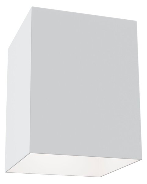 Plafoniera Ceiling & Wall in Alluminio Alfa Bianco