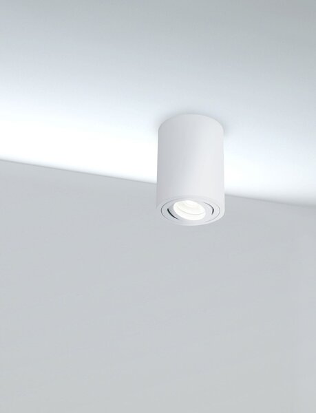 Plafoniera Ceiling & Wall in Alluminio Alfa Bianco