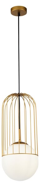 Lampada pendente Pendant in Metallo Telford Oro