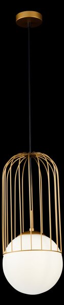 Lampada pendente Pendant in Metallo Telford Oro