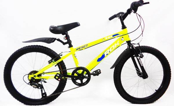 Bicicletta per Ragazzo 20" 6V con Borraccia e Scudetto Frontale Giallo e Blu