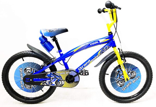 Bicicletta per Ragazzo 20" con Borraccia e Scudetto Frontale Blu