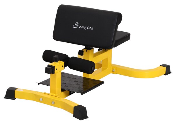 Panca Fitness Multifuzionale Scott Sissy Squat Abs Trainer Regolabile in Acciaio