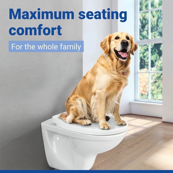 Sedile WC con chiusura Easy-Close (automatica) 36,5 x 45 cm Roanne – Wenko