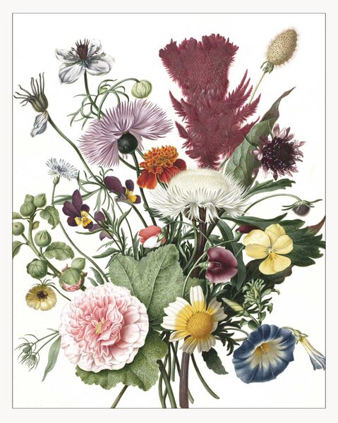 Carta da parati Wallpaper Panel Wild Flowers