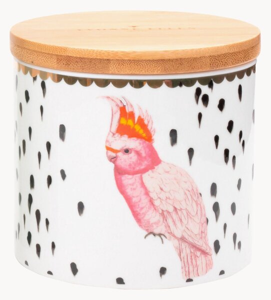 Barattolo in Fine Bone China Parrot