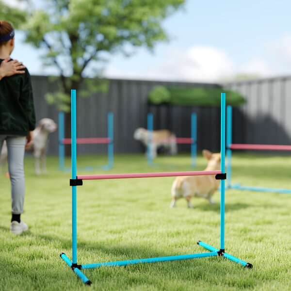 PawHut Set Agility per Cani 4 pezzi regolabile con 4 ostacoli, 99x65x94 cm, Azzurro chiaro | Aosom Italy