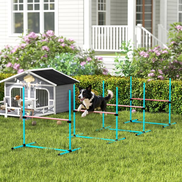 PawHut Set Agility per Cani 4 pezzi regolabile con 4 ostacoli, 99x65x94 cm, Azzurro chiaro | Aosom Italy