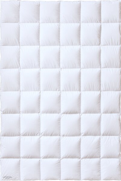 Piumino Kauffmann in piuma d'oca austriaca allevata all'aperto 135x200 cm, media