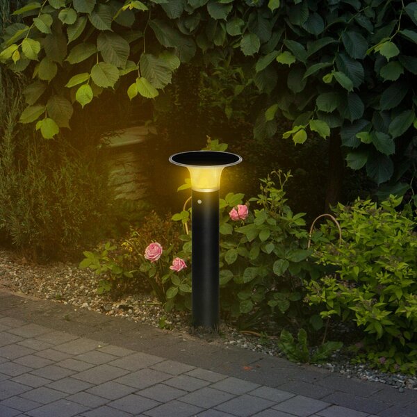 Luce da Esterno a Energia Solare Ø23,5x60 cm in Alluminio Nero
