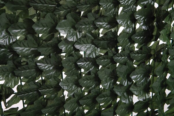 Arella Siepe Sintetica Artificiale 1x3m in PVC Ombreggiante Foglie di Edera