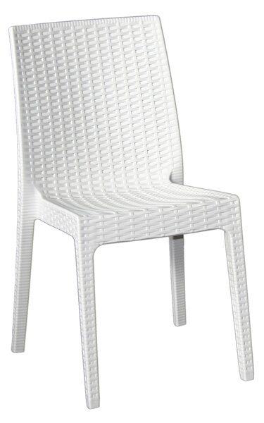 Sedia da Giardino 55x46x85 cm in Polipropilene Bianca
