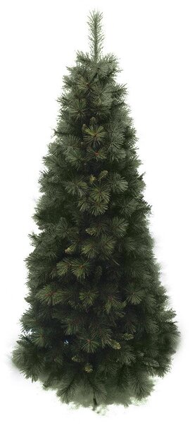Albero Di Natale Gran Paradiso Slim Altezza 150 cm