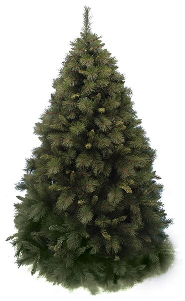 Albero Di Natale Palmalux Verde Altezza 210 cm