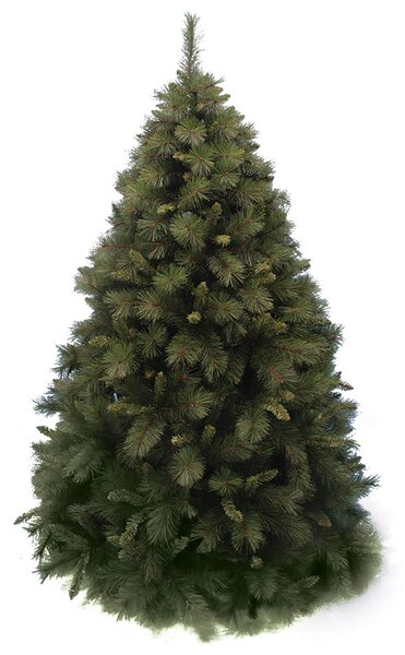 Albero Di Natale Palmalux Verde Altezza 210 cm