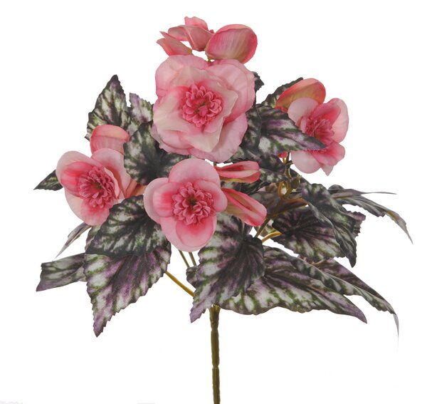 Set 6 Begonia Fiorita Artificiali Composta da 5 Fiori Altezza 28 cm Rosa