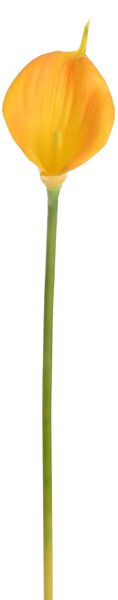 Set 12 Calla Artificiale Singola Altezza 72 cm Giallo