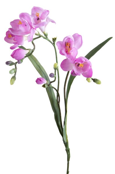 Set 6 Fiori Artificiali di Fresia con Due Fiori Altezza 63 cm Rosa