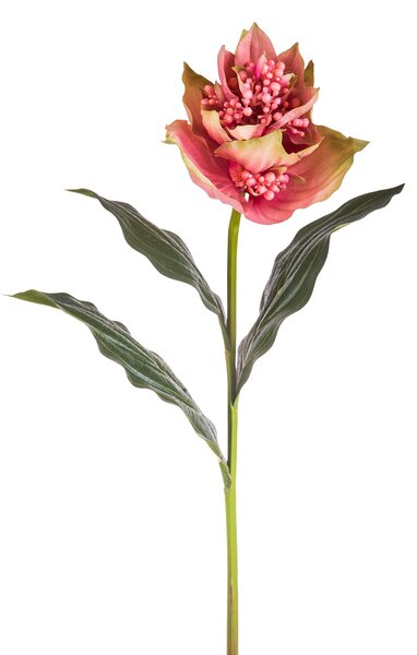 Set 2 Fiori Artificiali di Medinilla Altezza 86 cm Rosa
