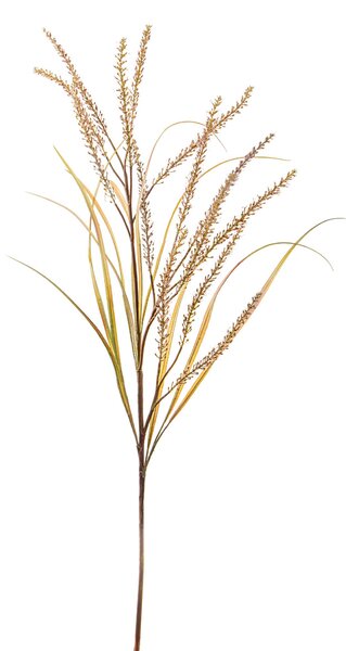 Set 2 Pennisetum Artificiali con 14 Diramazioni Altezza 130 cm Beige