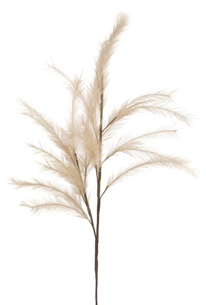 Set 3 Pampas Artificiale con 24 Diramazioni Altezza 115 cm Marrone