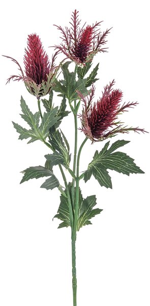 Set 8 Pianta Artificiale di Eringium Composta da 3 Fiori Altezza 68 cm Bordeaux