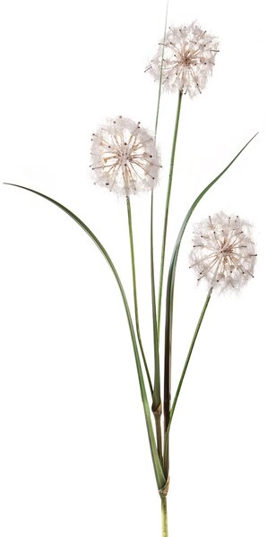 Set 2 Tarassaco Artificiali Composto da 3 Fiori Altezza 100 cm Bianco