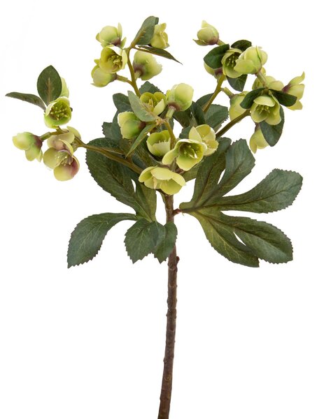 Set 4 Rami Artificiali di Helleborus Altezza 42 cm Verde