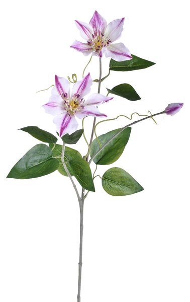Set 4 Rami Artificiali di Clematis Composto da 2 Fiori Altezza 76 cm Bianco