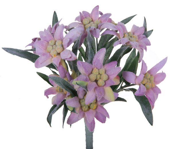Set 2 Piante di Stella Alpina Artificiali Composta da 9 Fiori Altezza 25 cm Rosa