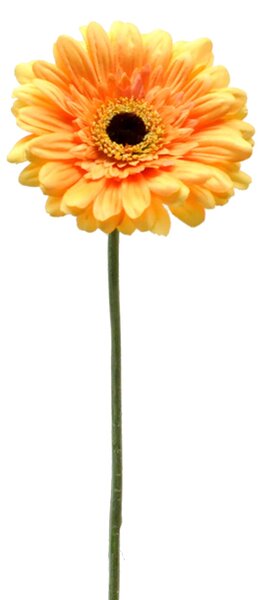 Set 12 Fiori Artificiali di Gerbera Altezza 63 cm Giallo