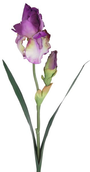 Set 6 Giaggiolo Composto da 2 Fiori Artificiali Altezza 73 cm Viola