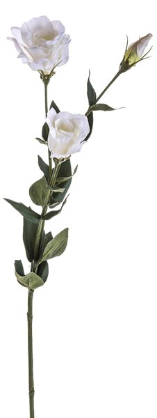 Set 6 Lisianthus Artificiali con Fiori Altezza 75 cm Bianco