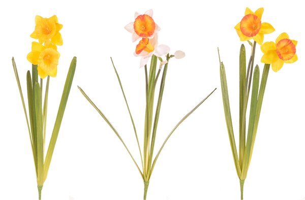 Set 4 Narciso con 2 Fiori Artificiali Altezza 48 cm Multicolore