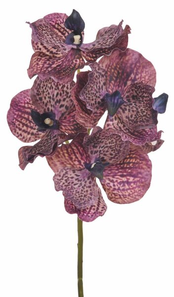 Set 4 Orchidea Artificiali Vanda Altezza 62 cm Rosa