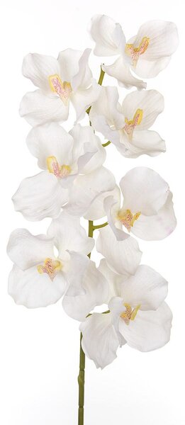 Set 3 Orchidea Artificiali Vanda Altezza 100 cm Bianco