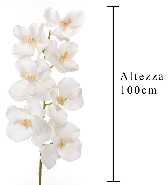 Set 3 Orchidea Artificiali Vanda Altezza 100 cm Bianco
