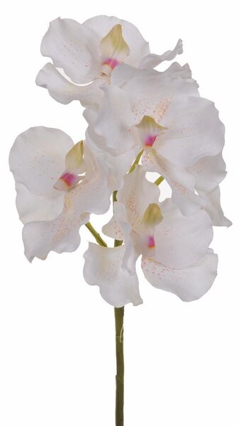 Set 3 Orchidea Artificiali Vanda Altezza 62 cm